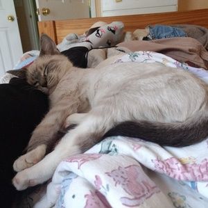 Meet your Posher, Heidi